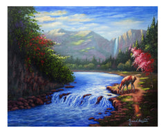 Nature with Wildlife